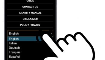 thumb - The BigFoot Paint Correction Web App Becomes Multilingual