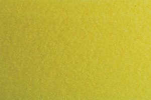 Related - ROTARY FINE Polishing Foam Pad