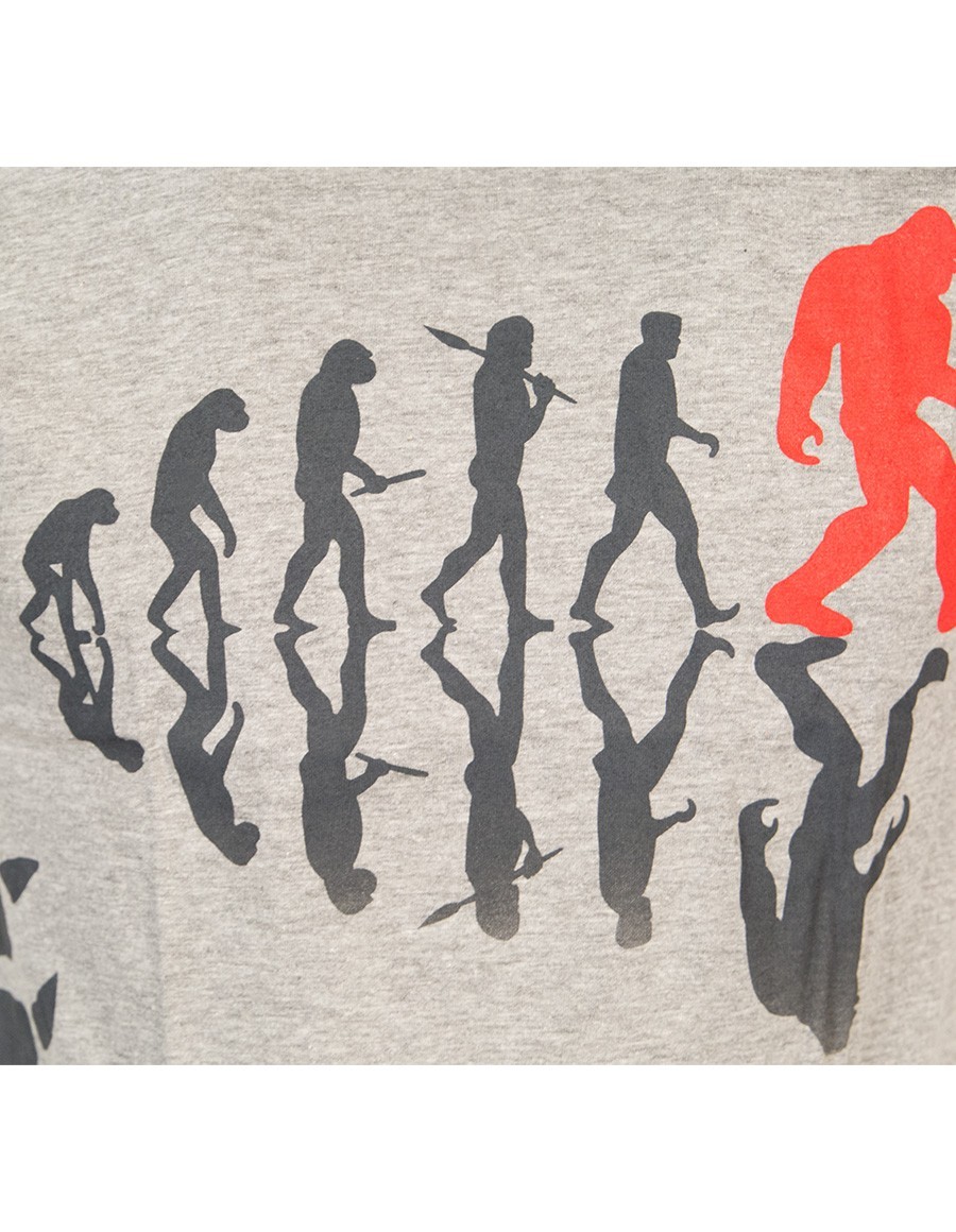 9Z752_t-shirt-evolution-grey_9 T-shirt Bigfoot - Gris- Gallery photo 9