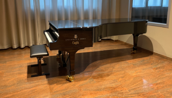thumb - How to finish polyester surfaces of pianos with Griffa Pianoforti